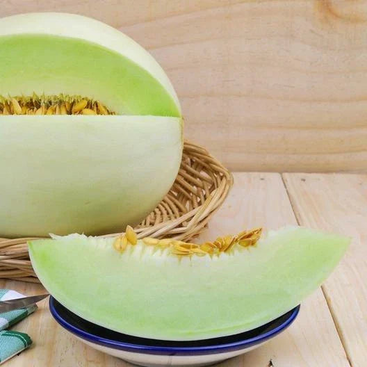 Honeydew Melon Seeds - 100 Non-GMO Green Flesh Cucumis melo for Organic Gardening, Juicy, Sweet Melons, Full Sun, Pack