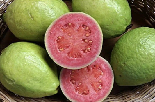 Mexican Pink Guava Fruit Seeds – Organic Non-GMO Psidium guajava for Home Garden & Patio, Sweet Fragrant Fruit, Easy to Grow