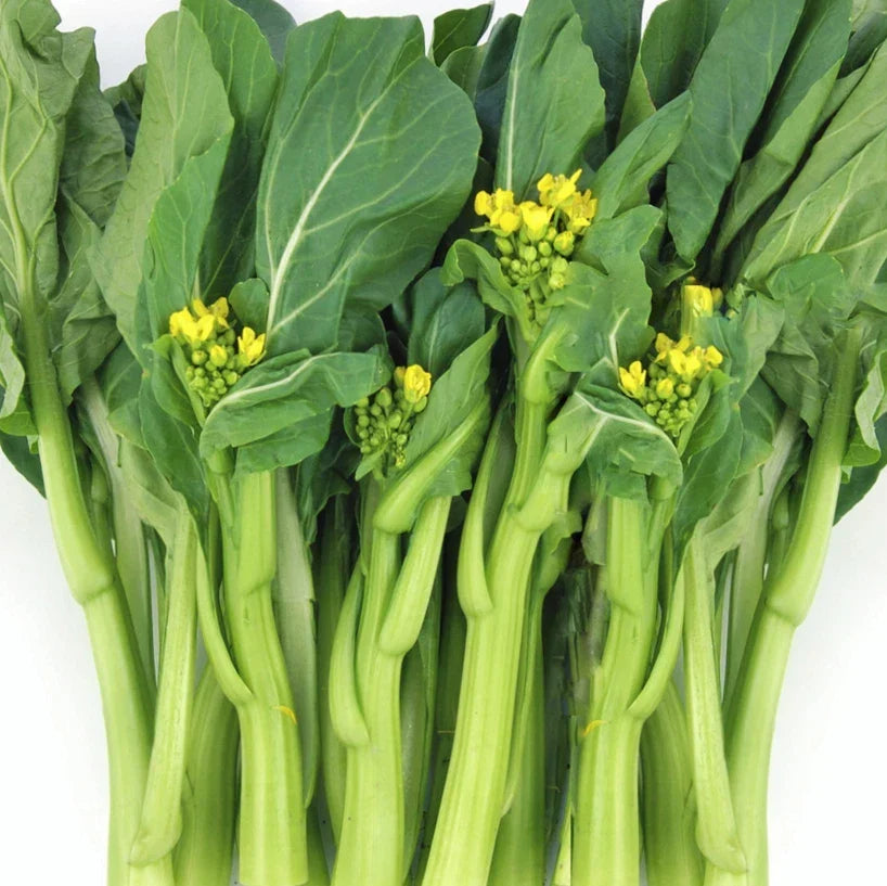 Yu Choy Sum Seeds | 70D Improved Gai Lan Mustard Green | Brassica rapa subsp. chinensis | Pack of 200 Seeds