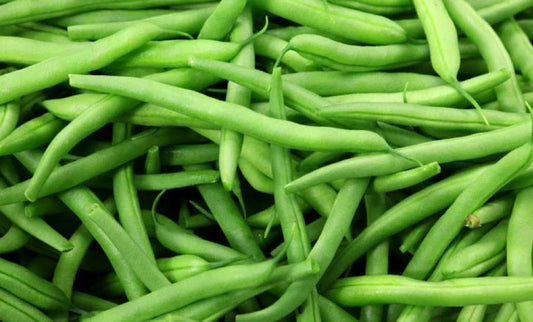 Green Bean Seeds - Stringless Phaseolus vulgaris - Non-GMO, Bush-Type, Fresh Seed for Home Gardens & Containers