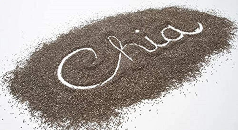 Chia Seeds Microgreens Sprouting Seeds Non-GMO Salvia hispanica for Indoor & Outdoor Growth