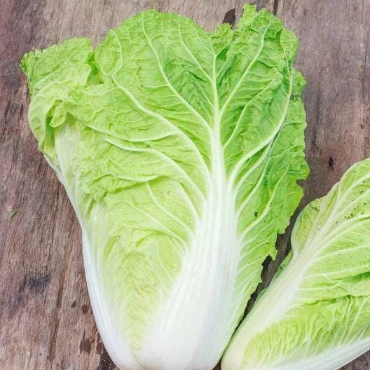 Michihili Cabbage Seeds, Non-GMO Heirloom, Brassica rapa var. chinensis, Vegetable, Pack of Seeds