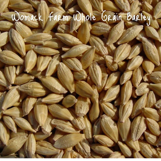 Organic Barley Seeds for Cat Grass, Whole Grain, Non-GMO, Indoor & Outdoor Growing, Hordeum vulgare, Starter Pack