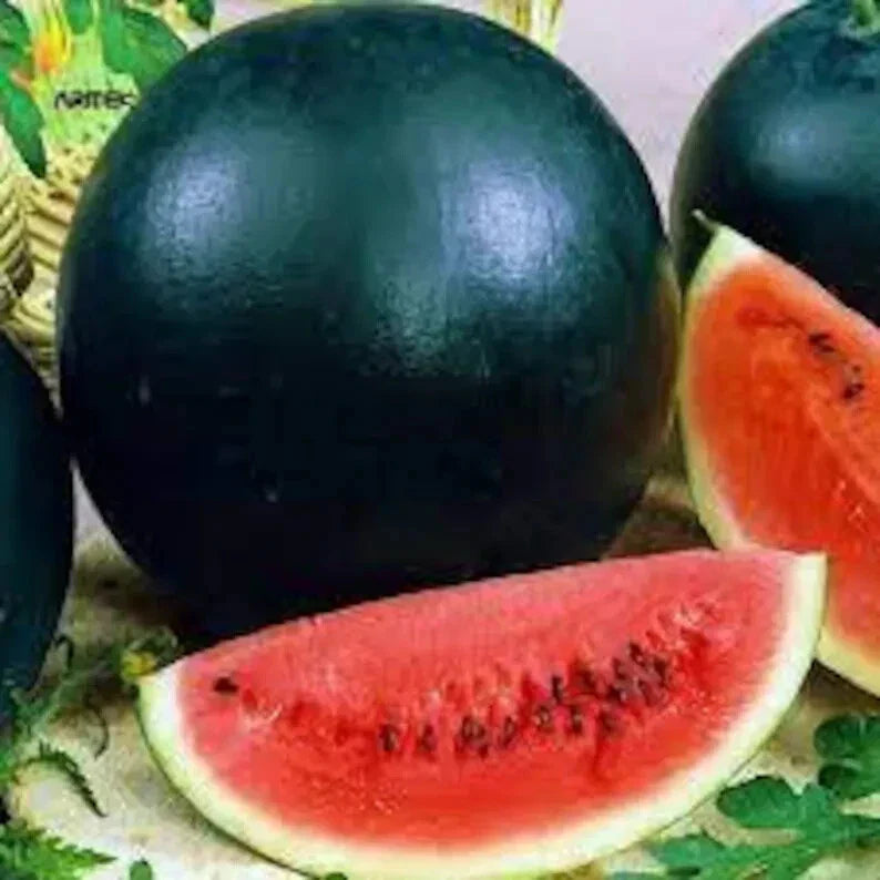 50 Organic Black Diamond Watermelon Seeds – Citrullus lanatus, Non-GMO, USA Grown, Packaged for Easy Planting, Summer Garden, Free Shipping