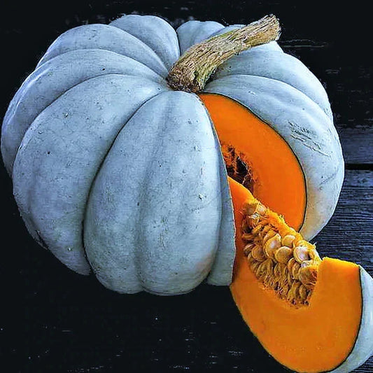 Jarrahdale Blue Pumpkin Seeds - Heirloom Cucurbita maxima for Fall Planting, Culinary & Decorative Use, 2025 Gardening
