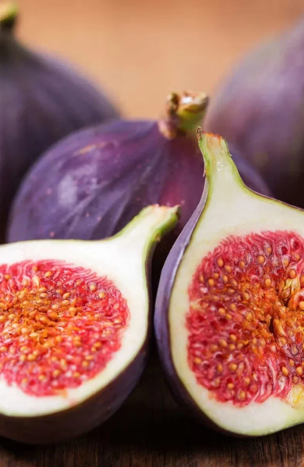 Fresh Fig Tree Cuttings - 10 Inch Unrooted Ficus carica Set of 7 for Gardening and Propagation