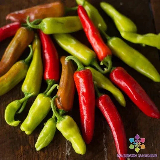 Italian Pepperoncini Seeds – 25+ Pack, Capsicum annuum, Sweet Pepper for Garden, Salad & Cooking
