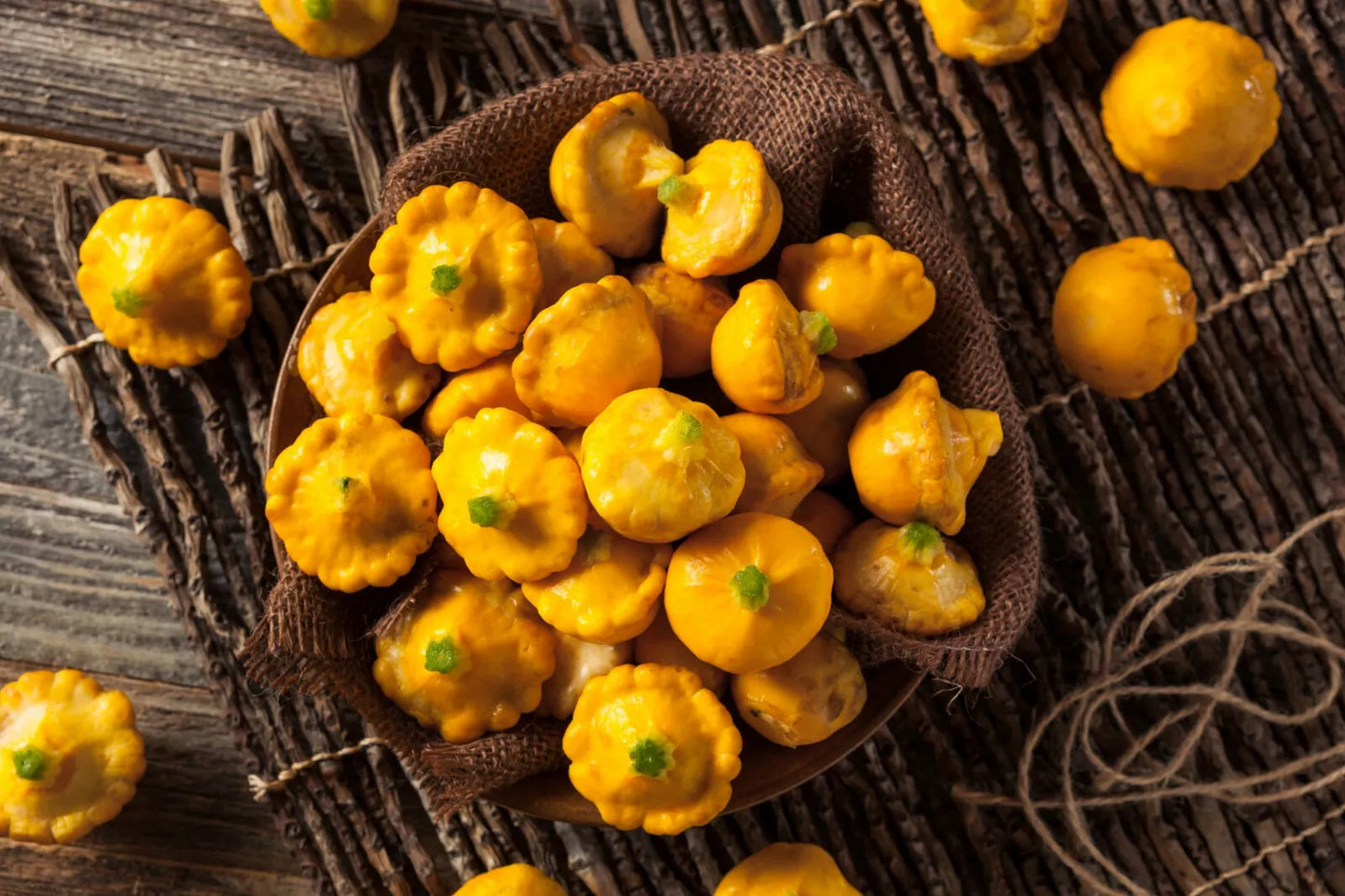 Early Yellow Patty Pan Scallop Squash Seeds, Cucurbita pepo, Compact Bush, 50 Seeds for Home Garden, Non-GMO, Open-Pollinated