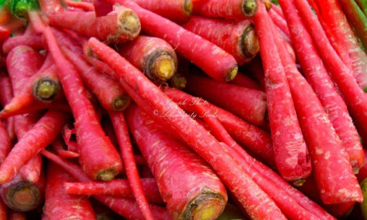 Organic Atomic Red Carrot Seeds - Heirloom Vegetable Seeds for Container Gardening, Non-GMO, 200+ Seeds, Daucus carota