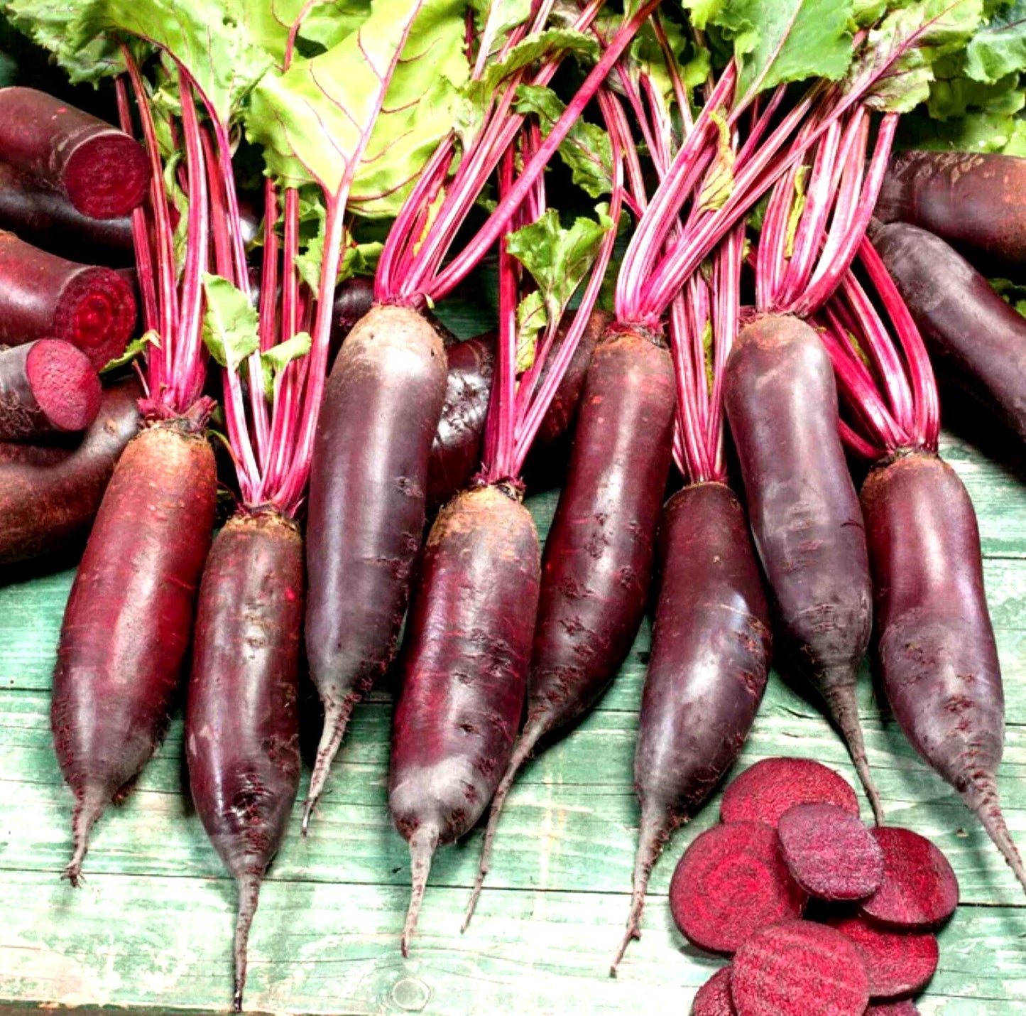 Cylindra Beet Seeds, 100+ Non-GMO Heirloom Seeds for Planting, Beta vulgaris, Root Vegetable, Cylindrical Shape