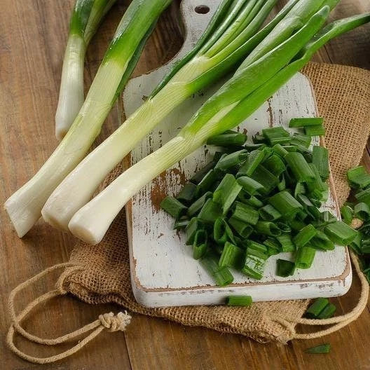 Tokyo Long Bunching Onion Seeds - Non-GMO Allium Fistulosum, Heirloom Green Onion Seeds for Indoor & Outdoor Gardening