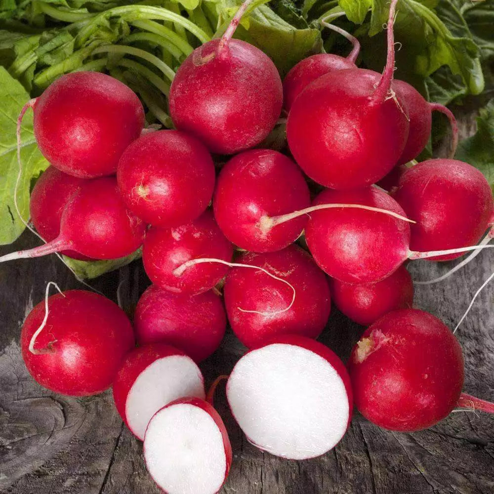 Cherry Belle Radish Seeds – 300+ Non-GMO Heirloom Raphanus sativus for Easy Garden Growth