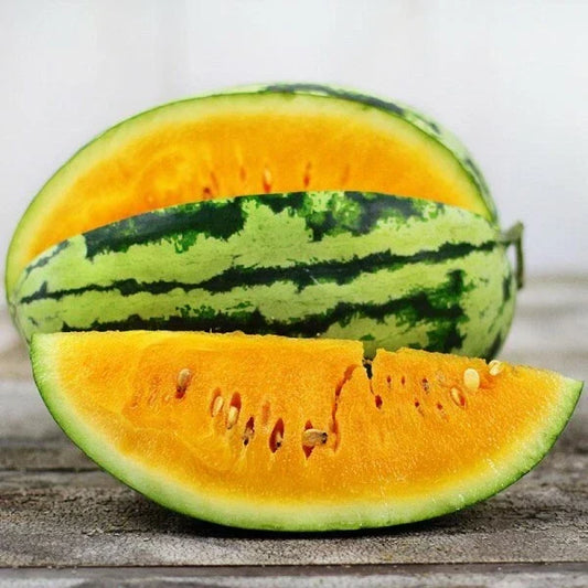 Orangeglo Watermelon Seeds – Heirloom Non-GMO Organic Citrullus lanatus Fruit Seeds for Home Garden