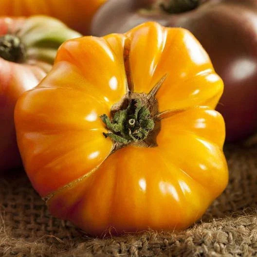 Heirloom Tomato Seeds - Amana Orange - Non-GMO, Indeterminate, Juicy Orange Fruits, 50 Seeds, Solanum lycopersicum