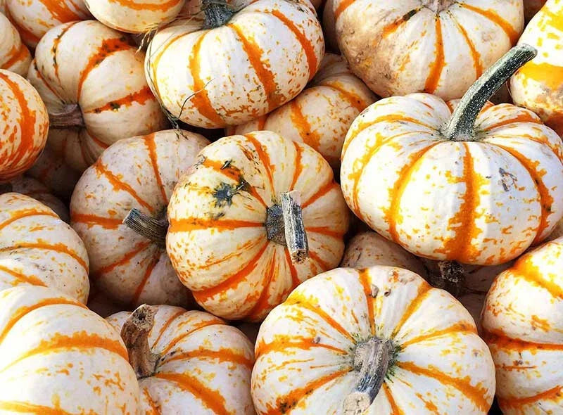Sweet Dumpling Squash Seeds - Organic Heirloom Cucurbita pepo, Pack of 25+ for Garden Planting, Roasting & Baking