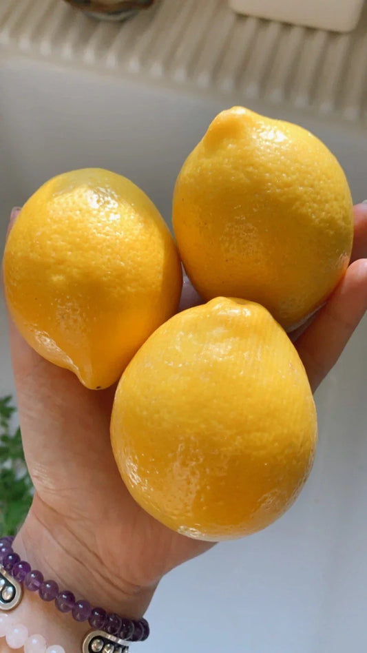 Meyer Lemon Seeds - Organic Non-GMO Pesticide-Free Citrus Seeds for Home Garden - Citrus × meyeri