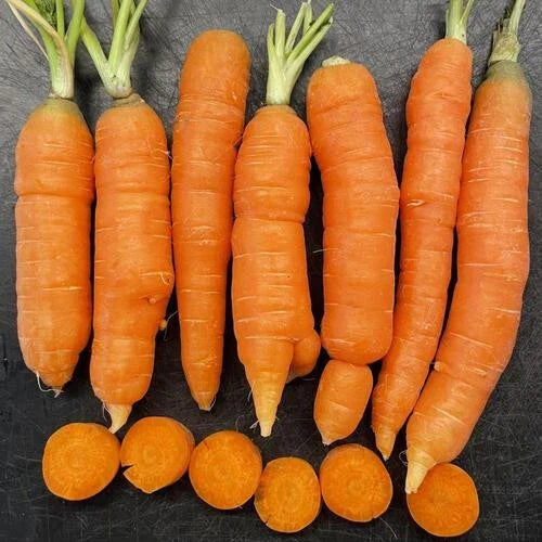 Mokum Carrot Seeds - 1000+ Non-GMO Heirloom Daucus carota for Garden & Container Planting