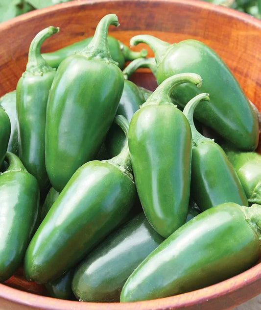 Jalapeno Pepper Seeds - 100+ Seeds for Spicy Cooking & Gardening - Capsicum annuum - Versatile Hot Pepper Seeds