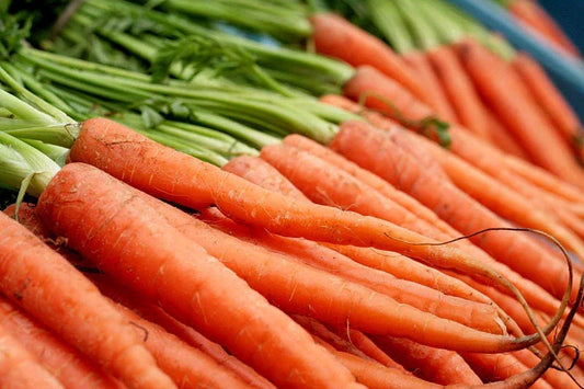 Nantes Scarlet Carrot Seeds - 775 Non-GMO Daucus carota Vegetable Seeds for Home Garden, Container Gardening, Bountiful Harvest
