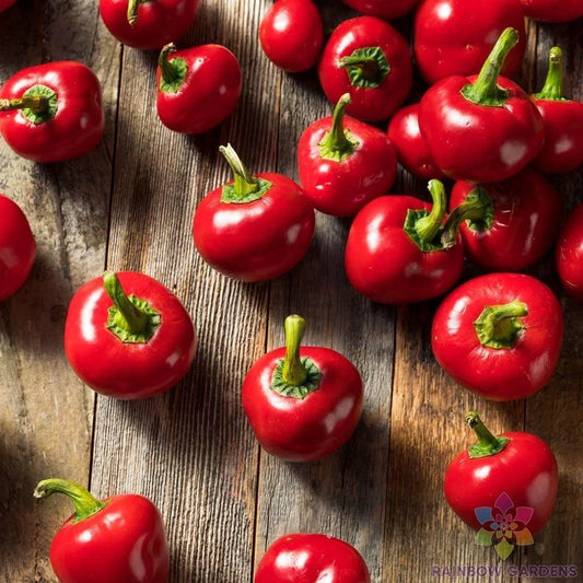 Cherry Bomb Sweet Pepper Seeds - 25+ Count - Capsicum annuum - Non-GMO Garden Seeds for Cooking & Fresh Eating