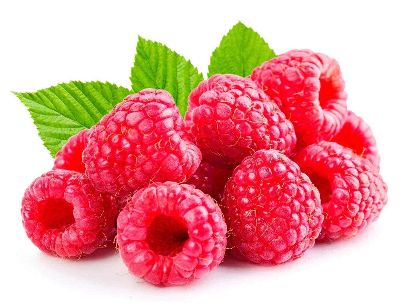 Raspberry Plants Bare Root Canes ‘Heritage’ Rubus idaeus – Large Sweet Berries, Perennial, Easy to Grow, 5-Pack