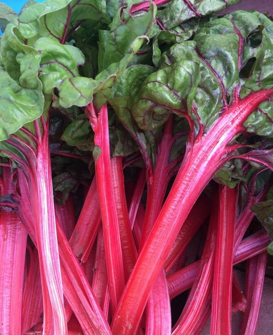 Organic Red Swiss Chard Seeds - 50+ Pack, Beta vulgaris subsp. cicla, Nutrient-Rich, Non-GMO, USA Grown, Garden & Pot Planting
