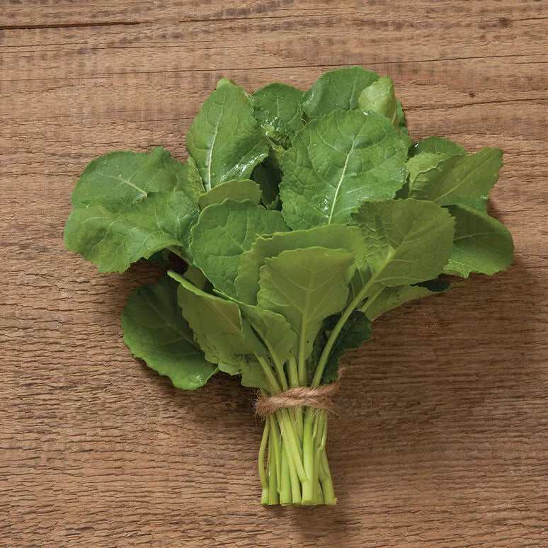 Ethiopian Kale Seeds - 2,000 Non-GMO Heirloom Brassica Carinata Organic Vegetable Garden Seeds