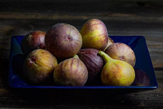 Hardy Chicago Fig Seeds - Ficus carica - 100 Seeds for Garden Planting - USDA Zones 5-10 - Fresh Figs for Home Garden