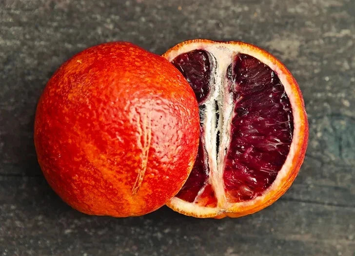 Blood Orange Seeds - 5+ Pack for Planting - Citrus sinensis - Non-GMO, High Germination Rate, USA Grown