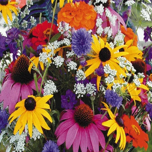 Wildflower Seed Mix - Annual Cutflower Variety - Colorful Blossoms for Garden & Arrangements - Non-GMO, Pollinator-Friendly