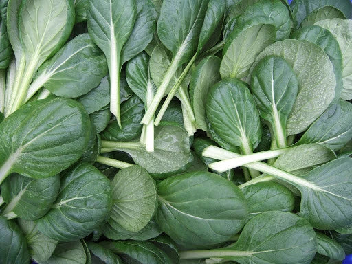 Tatsoi Seeds 300+ Count – Brassica rapa var. rosularis, Leafy Green, Mustard Spinach, Rosette, Non-GMO, for Salad & Stir-Fry