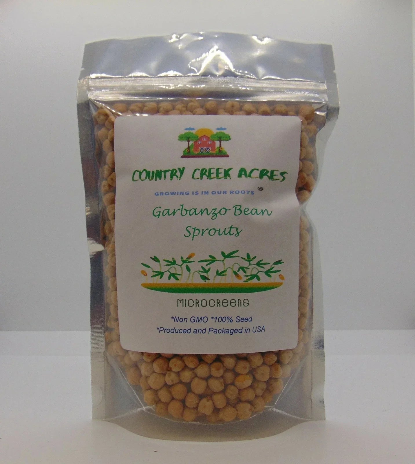 Garbanzo Bean Seeds 12 Ounce | Cicer arietinum | Non-GMO, High Germination, Planting for Home Garden, Container, Edible Beans