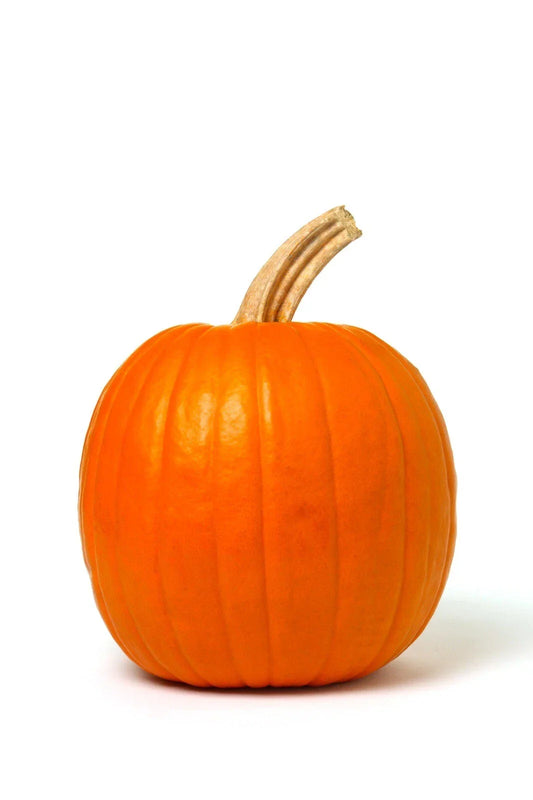 Mammoth Gold Giant Pumpkin Seeds – Heirloom Non-GMO Cucurbita maxima for Large Pumpkins, Garden, Competition, Fall Decor