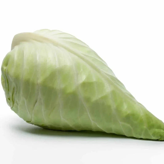 Hispi Cabbage Seeds Pack - Over 500 Non-GMO Brassica oleracea Var. capitata for Garden Planting, Sweetheart Variety, Full Sun, USA