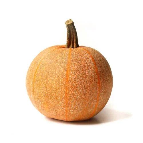 Winter Luxury Pumpkin Seeds Pack of 25+ | Cucurbita pepo Non-GMO Heirloom for Garden, Backyard, Autumn Decorations