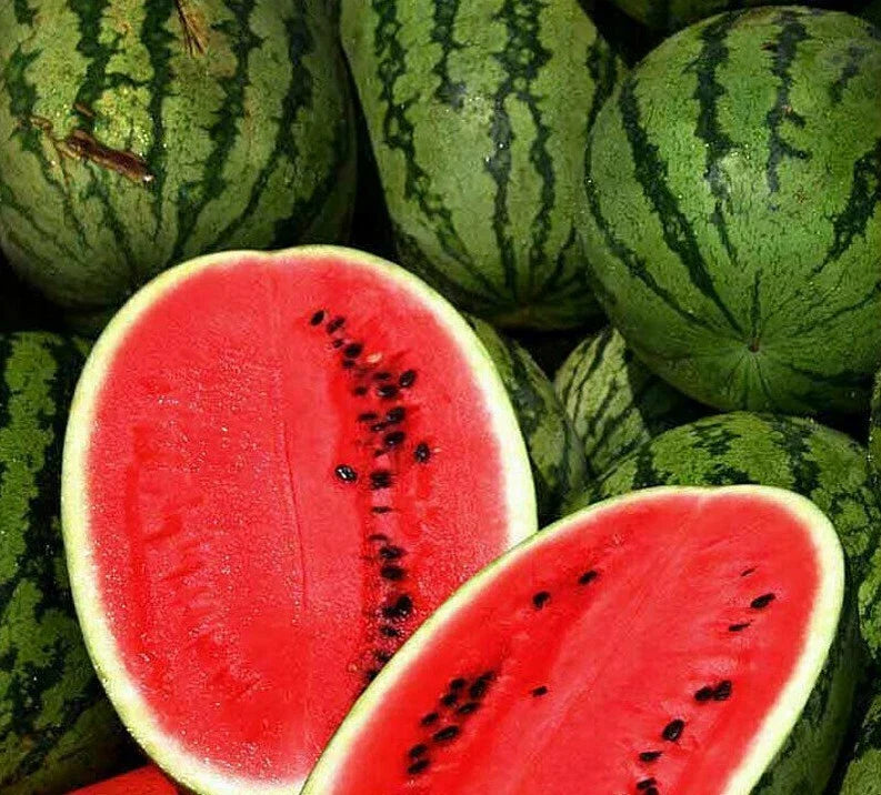 Sweet Watermelon Seeds Pack - Citrullus lanatus, Juicy Fruit, 25+ Seeds for Garden, Heirloom, Full Sun, Free Shipping