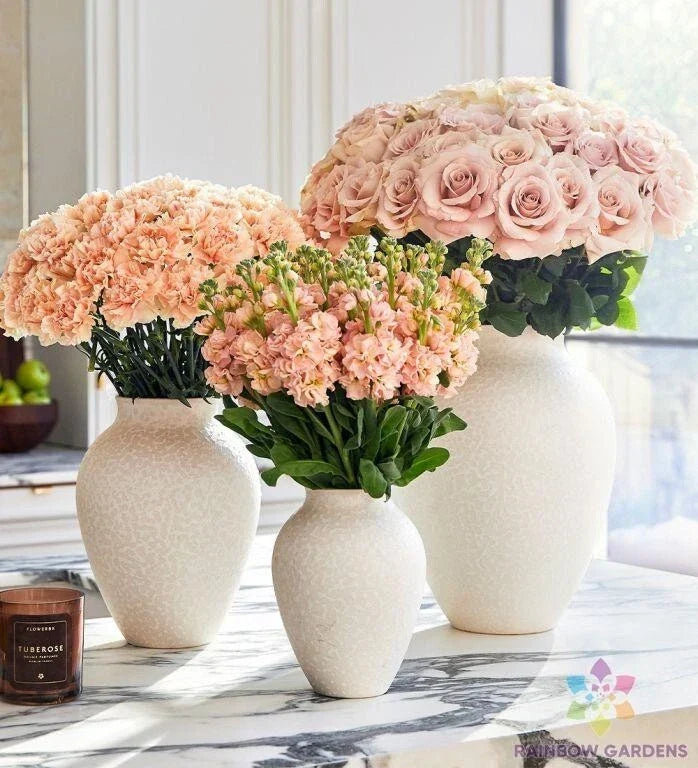 Sand Pink Carnation Seeds - 200+ Dianthus caryophyllus for Garden Planting, Vibrant Pink Blooms, Easy to Grow, USA Grown