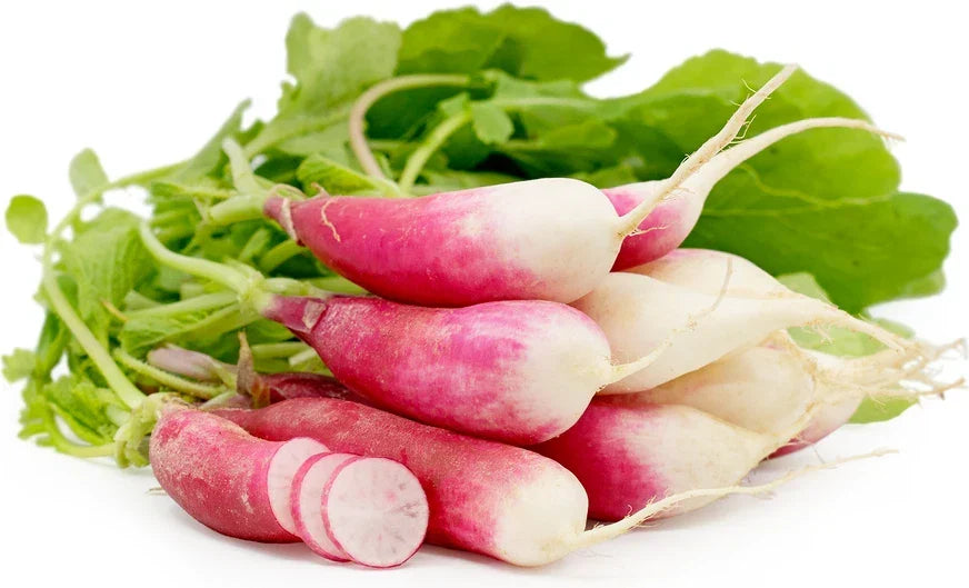 French Breakfast Radish Seeds – Organic, Non-GMO, Fast-Germinating Raphanus sativus for Home Gardening and Containers