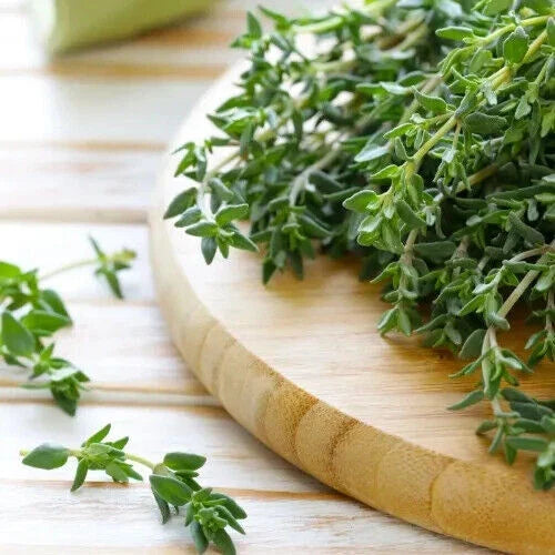 Thyme Seeds | Heirloom Non-GMO Culinary Herb | Thymus vulgaris | Seed Packet for Garden & Cooking