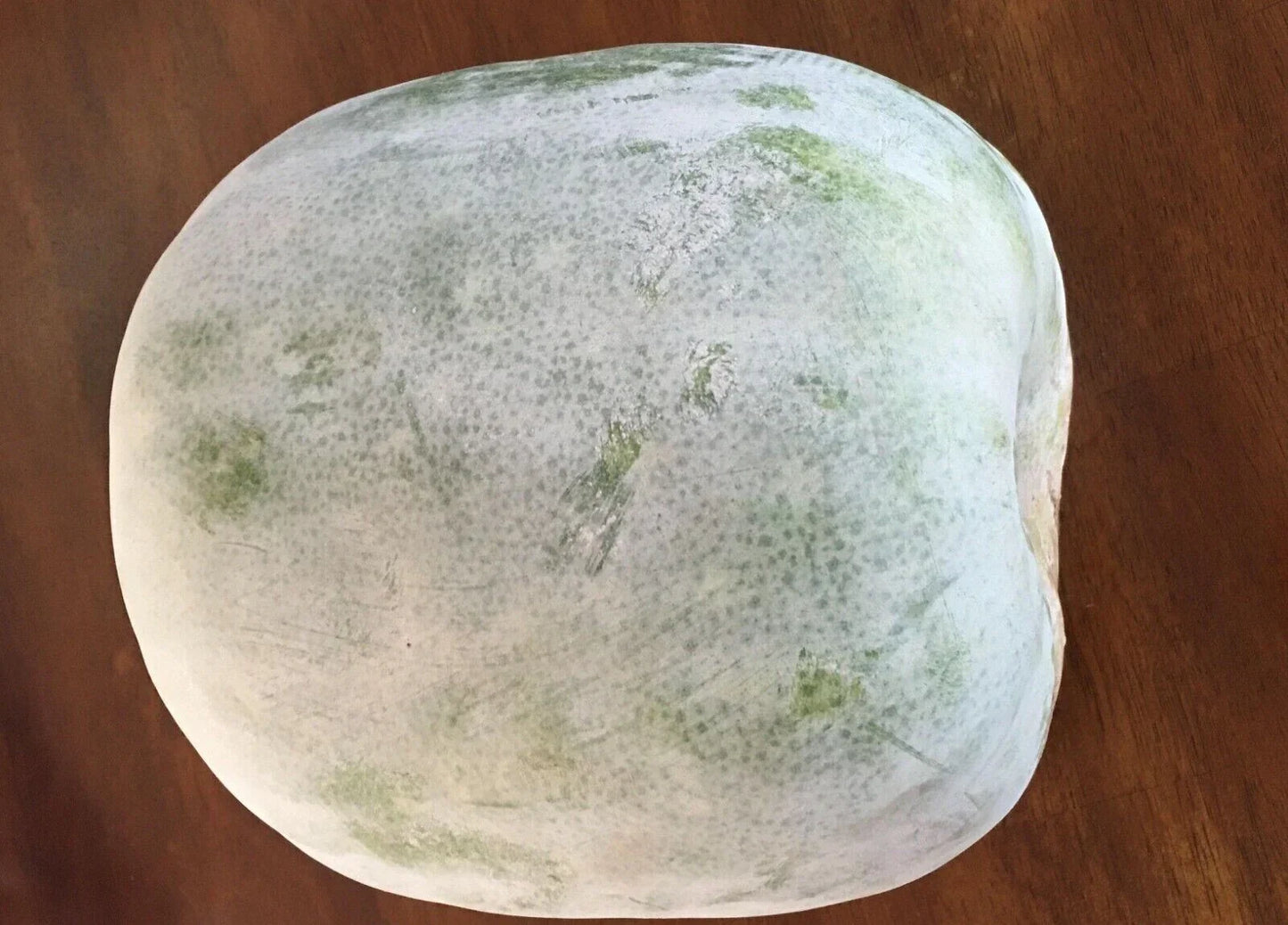Wax Gourd Seeds - 20+ White Ash Gourd Winter Melon Cucurbita maxima for Home Garden, Container Growing