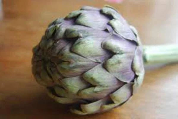 Artichoke Seeds 500 Count Green Globe Heirloom Non-GMO Cynara scolymus for Home Garden, Vegetable Farming