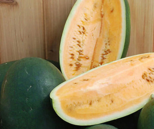 Organic Sweet Siberian Watermelon Seeds - Heirloom Non-GMO Citrullus lanatus, 30 Seeds for Home Garden, Juicy, Large, Rare Variety