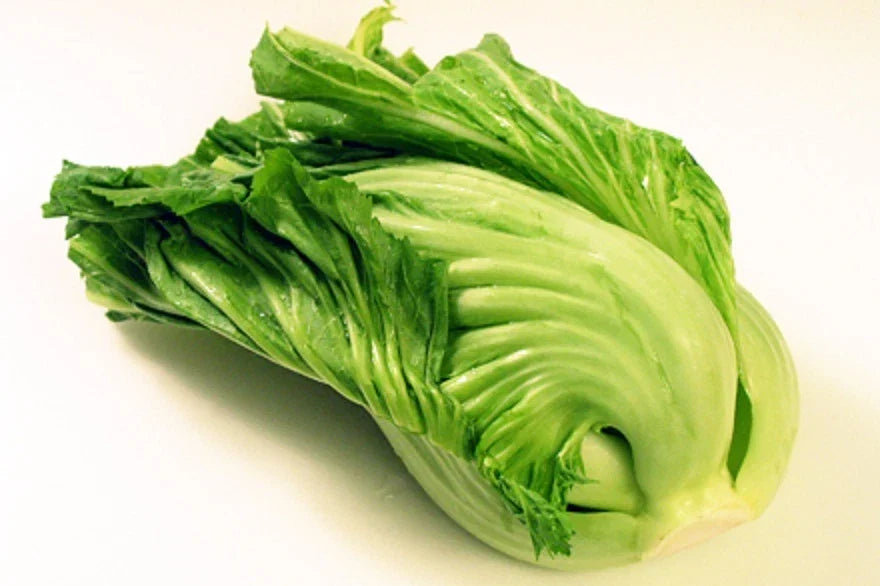 Chinese Indian Mustard Seeds – Brassica juncea Gai Choy Cabbage, 100-500 Seeds for Asian Cuisine, Stir-Fries & Pickling