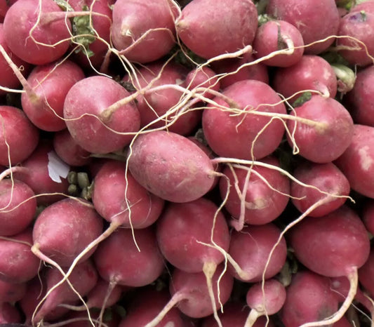 Lady Slipper Radish Seeds, Non-GMO, Fast Harvest, Vibrant Pinkish-Red, Raphanus sativus, Compact Growth, Garden & Container Planting