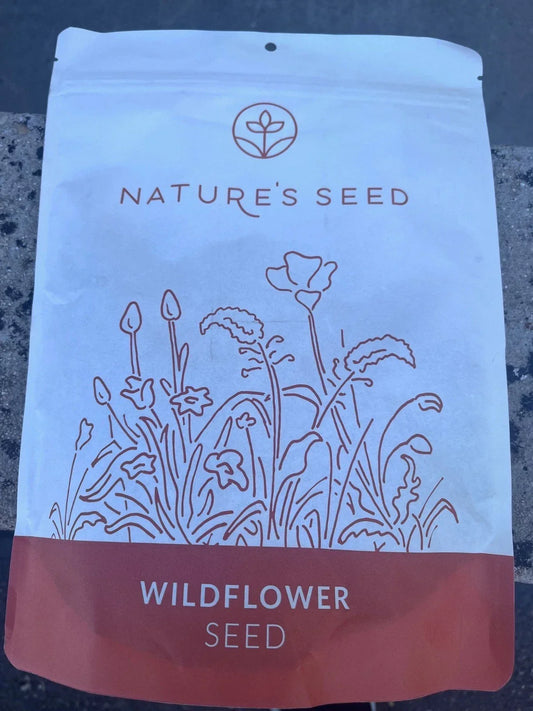 Northeast Wildflower Seeds 0.5 lbs Native Wildflower Mix for Pollinators, Garden & Landscape Planting, Supports Bees & Butterflies