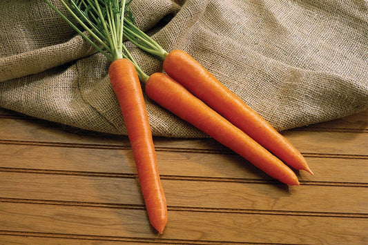 Olympus Carrot Seeds - 1000+ Non-GMO Daucus carota for Home Garden Planting, Root Vegetable, Full Sun, USA Grown