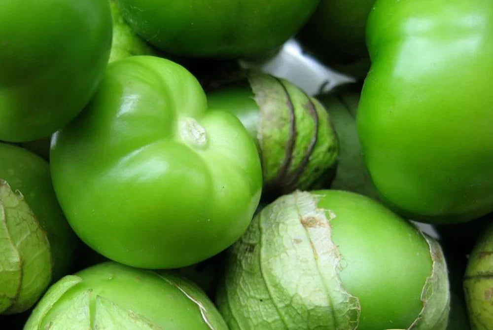 Tomatillo Seeds - 50+ Physalis ixocarpa Green Heirloom, Non-GMO, Easy to Grow for Salsas & Gardens