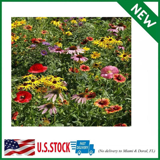 Midwest Wildflower Seed Mix 1 lb Native Annual & Perennial Wildflower Blend for Pollinators & Gardens