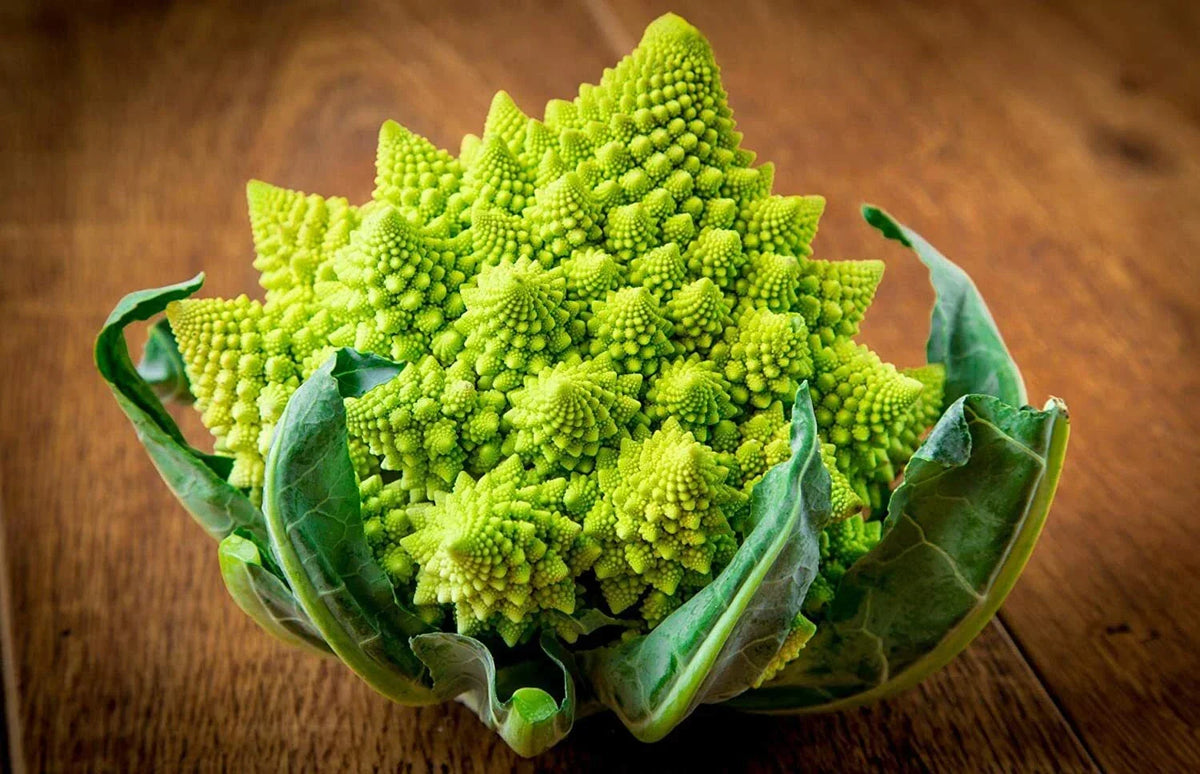 Broccoli Seeds - 100 Count - Heirloom Romanesco - Unique Fractal Heads - Brassica oleracea 'Romanesco' - Vegetable Gardening
