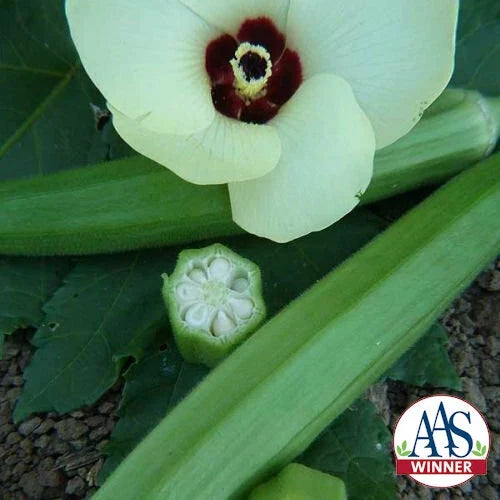 Okra Seeds - Heirloom Clemson Spineless Non-GMO Vegetable Plant Pack of 60 Abelmoschus esculentus
